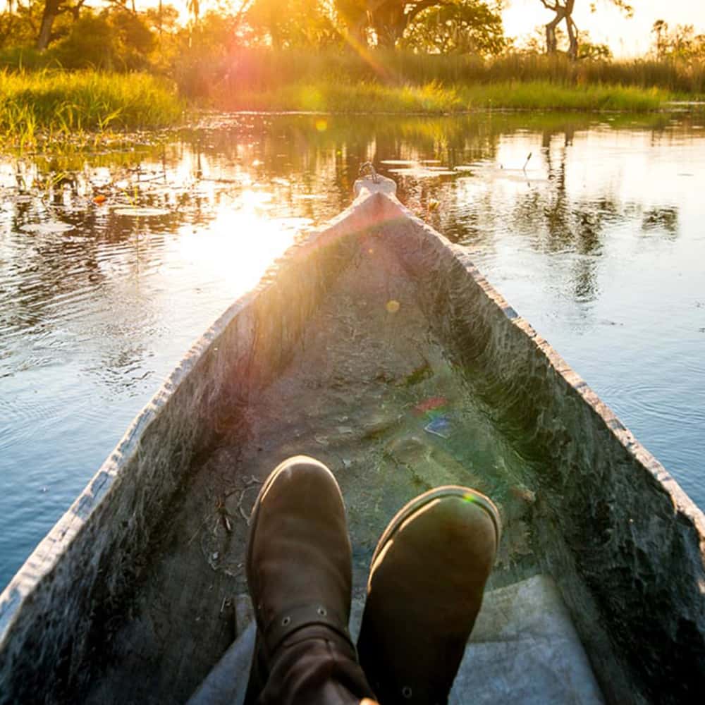 Okavango Safari